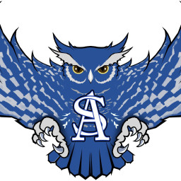 Anderson-Shiro High School mascot