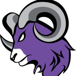 Deering High School mascot