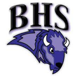 Buffalo High School mascot