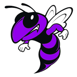 Hill City High School mascot