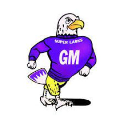 Grand Meadow School mascot