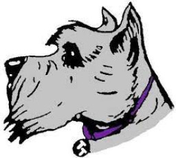 Newark Technical High School mascot