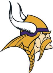 stoughton High School mascot