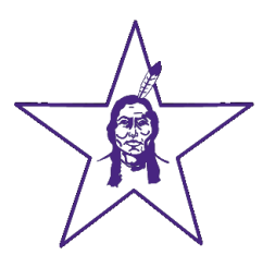 Bottineau High School mascot