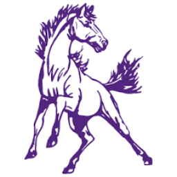 Belle Fourche High School mascot