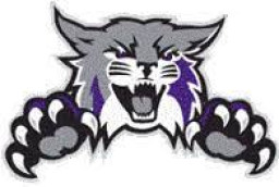 White Lake High School mascot