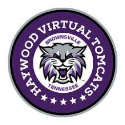 Haywood High School mascot