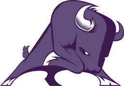 Sunset High School mascot