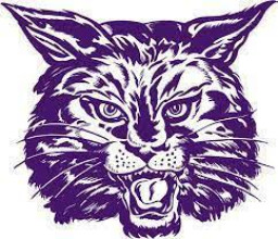 Dimmitt High School mascot