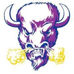 Florence High School mascot