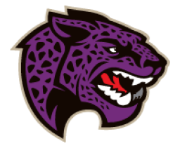 L B Johnson High School mascot