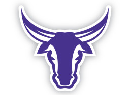 Morton Ranch High School mascot