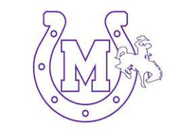 Mason High School mascot