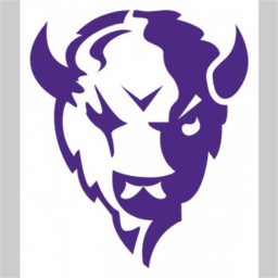 Tooele High School mascot