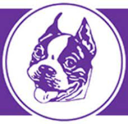 Bellows Falls Union High School mascot