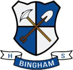 Bingham High School mascot