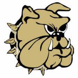 Douglas High School mascot