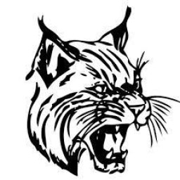 Northeastern Senior High School mascot