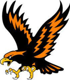 Somerset Area Senior High School mascot