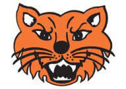 Ubly High School mascot