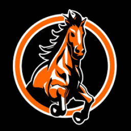 Northville High School mascot