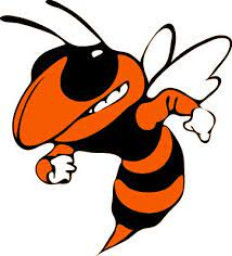 Greenfield High School mascot