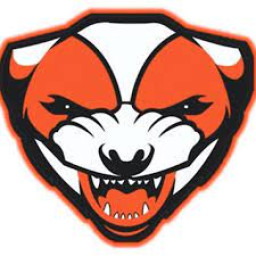 McCamey High School mascot