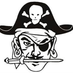 Dover High School mascot