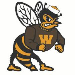 Williams High School mascot