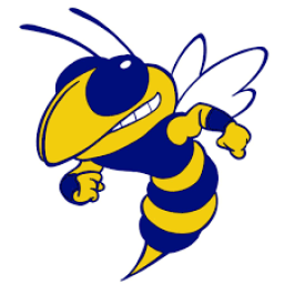 Rochelle School mascot