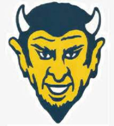 Bellwood Antis High School mascot