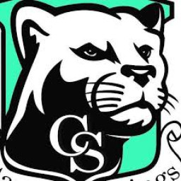 Canyon Springs High School mascot