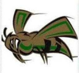 Mineral Springs High School mascot