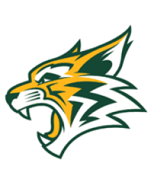 Paradise High School mascot