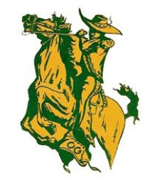 Casa Grande High School mascot