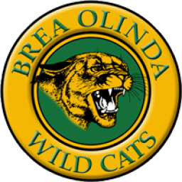 Brea Olinda High School mascot