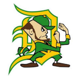 Dublin High School mascot