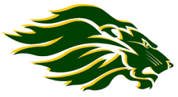 Borah High School mascot