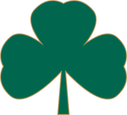 St. Patrick High School mascot