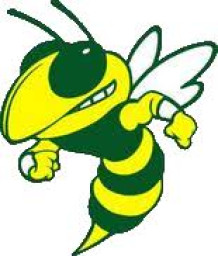 Rayville High School mascot