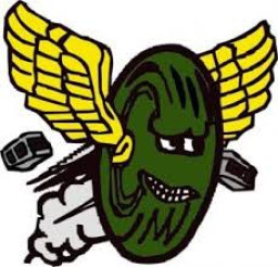 McBain High School mascot