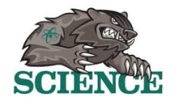 Bronx High School Of Science mascot