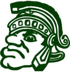 Ottoville High School mascot