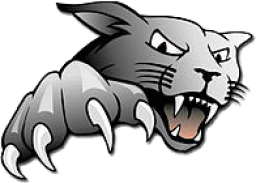 Northern Heights High School mascot