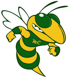 Marion Center Area High School mascot