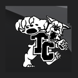 Trigg County High School mascot