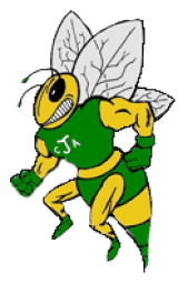 C A Johnson High School mascot