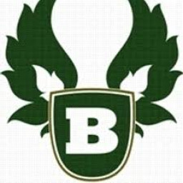 Berean Academy mascot