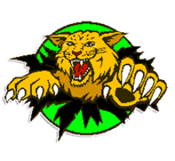 Harleton High School mascot