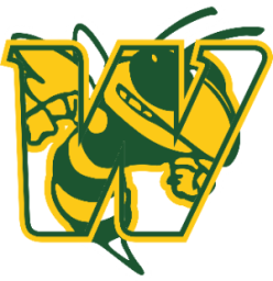 Windsor High School mascot
